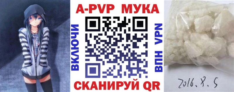 Alfa_PVP СК  Новодвинск 