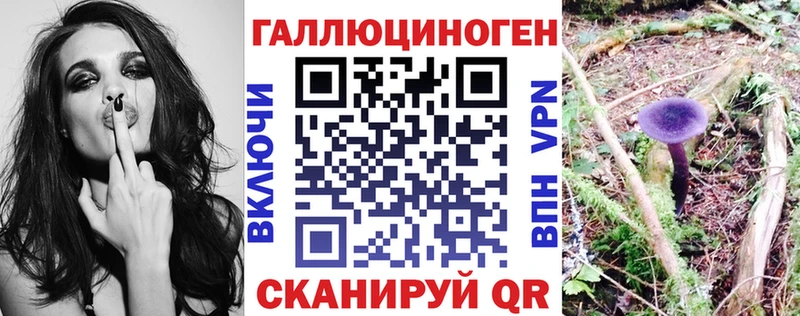 Псилоцибиновые грибы Psilocybe  Новодвинск 