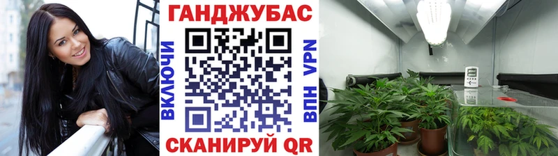 дарнет шоп  Новодвинск  Конопля AK-47 
