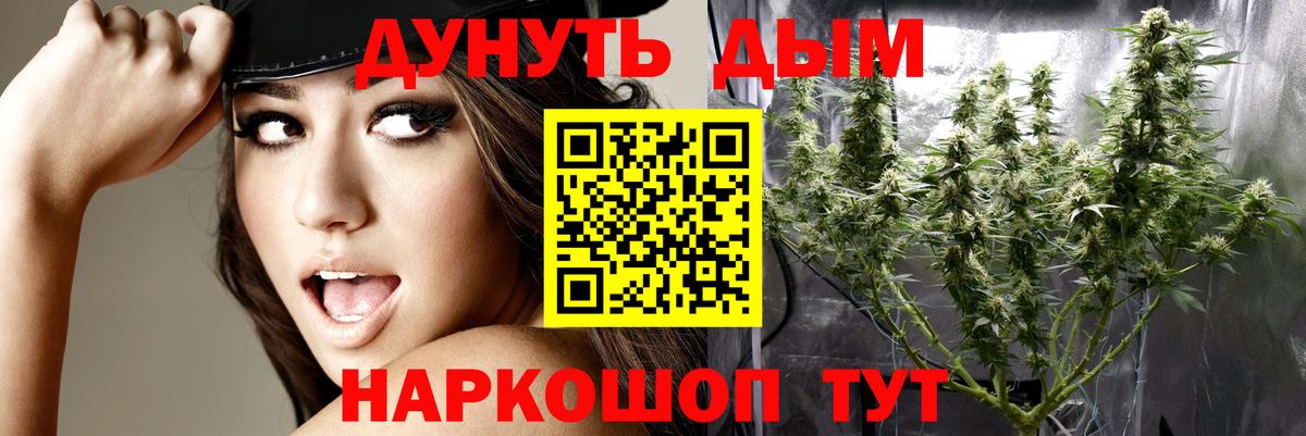 Марихуана план  Каннабис LSD WEED  Канабис Ganja  Вход с VPN  Новодвинск 